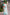 Green Poly Chiffon Striped Saree with Unstitched Blouse - A2M