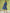 Janasya Dark Cotton Ethnic Motifs Shirt Dress Dress
