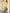 Janasya Bright Cotton Ombre Straight Kurta
