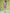 Janasya Lavender Cambric Embroidered Tunic
