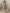 Janasya Dark Cotton Solid A-Line Dress