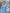 Janasya Light Cotton Schiffli Fit & Flare Dress