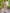 Janasya Light Cotton Floral A-Line Kurta
