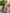 Janasya Bright Cotton Floral A-Line Kurta