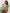 Janasya Light Cotton Embroidered Straight Kurta