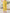 Janasya Yellow Cotton Solid Pant
