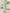 Janasya Mint Cotton Solid Pant