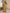Aarshi Fashions Yellow Georgette Gown With Multicolor Silk Shrug & Belt