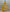 Jyoti Fashion Women's Yellow Bridal Net Fancy Sequins with Multi Thread Embroidered Wedding Lehenga Choli - Distacart