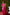 Jyoti Fashion Women's Rani Pink Handloom Banarasi Silk Zari Woven Saree with Blouse - Distacart