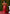 Jyoti Fashion Women's Red Handloom Banarasi Silk Zari Woven Saree with Blouse - Distacart