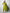 Jyoti Fashion Women's Parrot Green Cotton Blend Embroidered Kurta Set - Distacart