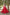 Jyoti Fashion Women's Red Faux Blooming Sequins with Zari Embroidered Long Anarkali Dress - Distacart