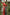 Jyoti Fashion Women's Red Imported Silk Satin Digital Printed Designer Saree with Blouse - Distacart