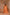 Jyoti Fashion Women's Orange Handloom Raw Silk Weaving Pallu Traditional Saree with Blouse - Distacart