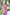 Jyoti Fashion Women's Baby Pink Handloom Raw Silk Weaving Pallu Traditional Saree with Blouse - Distacart