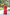 Jyoti Fashion Women's Red Handloom Raw Silk Weaving Pallu Traditional Saree with Blouse - Distacart