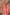 Jyoti Fashion Women's Coral Handloom Raw Silk Weaving Pallu Traditional Saree with Blouse - Distacart