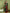 Jyoti Fashion Women's Green Silk Blend Ikat Floral Print with Jari Border Saree with Blouse - Distacart