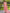 Jyoti Fashion Women's Peach Muslin Floral Digital Print with Sequins Work Salwar Suit Set - Distacart