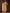 Jyoti Fashion Women's Mustard Pure Cotton Digital Printed Salwar Suit Set - Distacart
