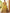 Jyoti Fashion Women's Yellow Chinon Sequins Thread Embroidered Lehenga Choli & Dupatta - Distacart