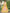 Jyoti Fashion Women's Yellow Chinon Digital Print with Sequins Zari Embroidered Lehenga Choli & Dupatta - Distacart