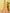 Jyoti Fashion Women's Yellow Chinon Real Mirror with Sequins Thread Embroidered Lehenga Choli & Dupatta - Distacart