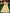 Jyoti Fashion Women's Yellow Soft Net Multi Sequins Thread Embroidered Lehenga Choli & Dupatta - Distacart