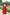 Jyoti Fashion Women's Red Faux Blooming Sequins Zari Embroidered Long Anarkali Sets - Distacart