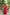 Jyoti Fashion Women's Rani Pink Faux Blooming Sequins Zari Embroidered Long Anarkali Sets - Distacart