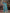 Jyoti Fashion Women's Sky Blue Soft Lichi Silk Jacquard Traditional Saree with Blouse - Distacart