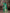 Jyoti Fashion Women's Green Soft Lichi Silk Jacquard Traditional Saree with Blouse - Distacart