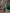 Jyoti Fashion Women's Green Soft Lichi Silk Jacquard Traditional Saree with Blouse - Distacart