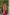 Jyoti Fashion Women's Cream Banarasi Silk Zari Woven Traditional Saree with Blouse - Distacart