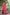 Jyoti Fashion Women's Gajri Tussar Silk Leheriya Print with Zari Border Saree with Blouse - Distacart