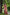 Jyoti Fashion Women's Maroon Soft Tussar Silk Printed and Zari Woven Saree with Blouse - Distacart
