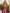Jyoti Fashion Women's Mustard Chinon Chiffon Embroidered Designer Straight Suit Set - Distacart