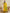 Jyoti Fashion Women's Yellow Khadi Raw Silk Temple Woven Border Designer Saree with Blouse