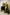 Jyoti Fashion Women's Green Handloom Raw Silk Weaving Designer Saree with Blouse