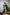 Jyoti Fashion Women's Bottle Green Handloom Raw Silk Weaving Designer Saree with Blouse