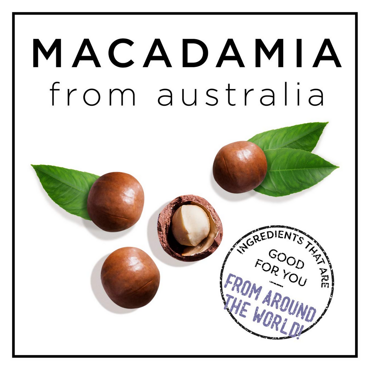 HASK Macadamia Oil Moisturizing Shampoo & Conditioner - Distacart