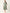 Jainish Women's Floral Print Puff Sleeves Crepe Midi Dress - Distacart