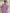 Indian Needle Women's Embroidered Cotton Dress - Purple - Distacart