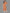 Janasya Peach Rayon Solid Straight Kurta
