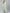 Jompers Women's Sea Green Embroidered Regular Sequinned Kurta with Trousers & Dupatta - Distacart