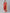Jompers Women's Red Ethnic Motifs Printed Regular Pure Cotton Kurta with Trousers & Dupatta - Distacart