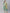Jompers Women's Green Ethnic Motifs Printed Pure Cotton Kurta with Trousers & Dupatta - Distacart