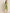 Jompers Women's Yoke Design Cotton Silk Kurta with Trousers & Dupatta - Green - Distacart