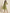 Jompers Women's Yoke Design Georgette Anarkali Kurta - Green - Distacart